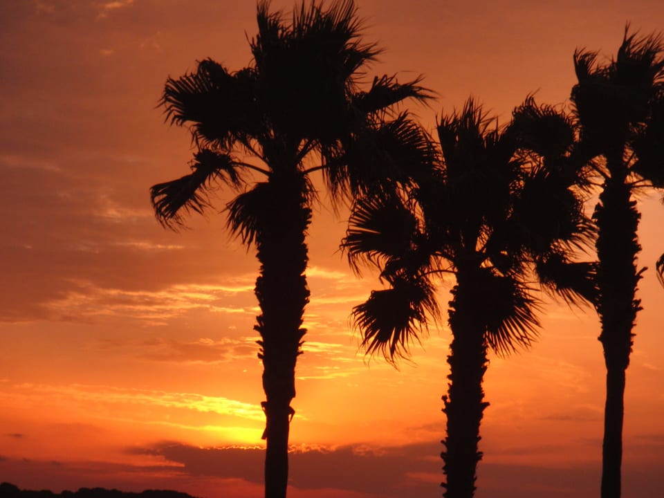 Sonnenaufgang Hipotels Mediterraneo Club