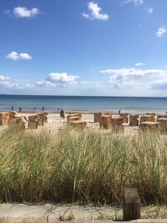 Promenade Hotel Bayside