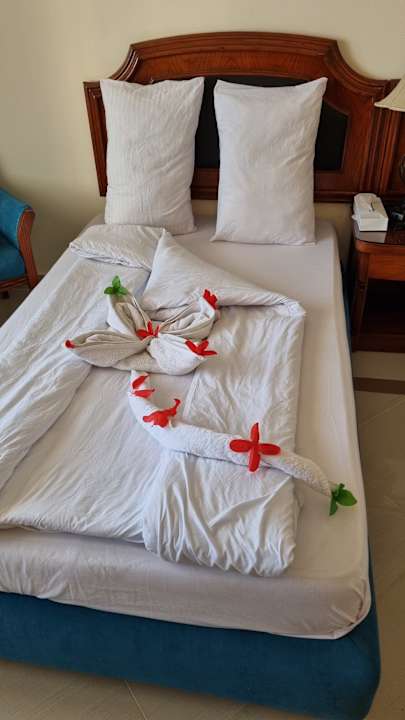 Zimmer Coral Hills Resorts & SPA