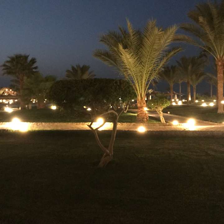 Garten Three Corners Sea Beach Resort