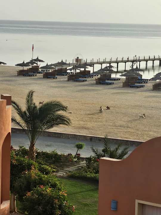 Strand Novotel Marsa Alam Beach Resort