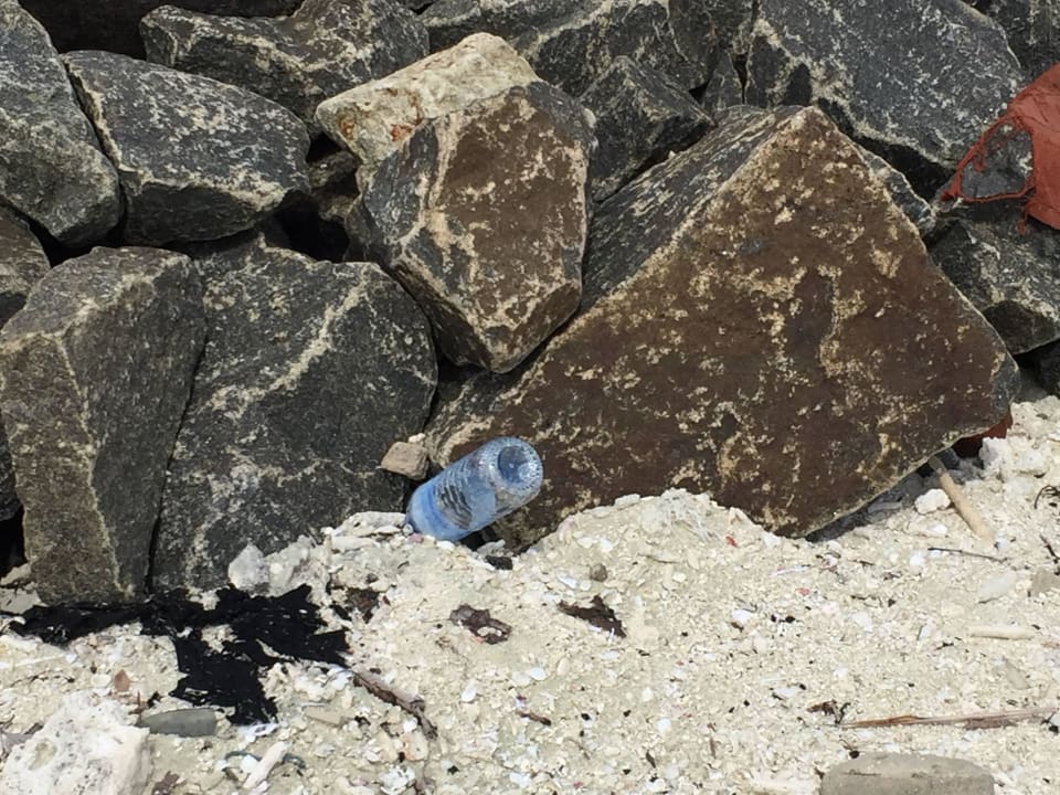 Müll am Srand, im Paradies? Summer Island Maldives