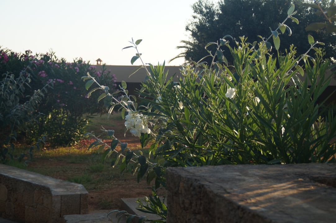 Gartenanlage Kernos Beach Hotel & Bungalows