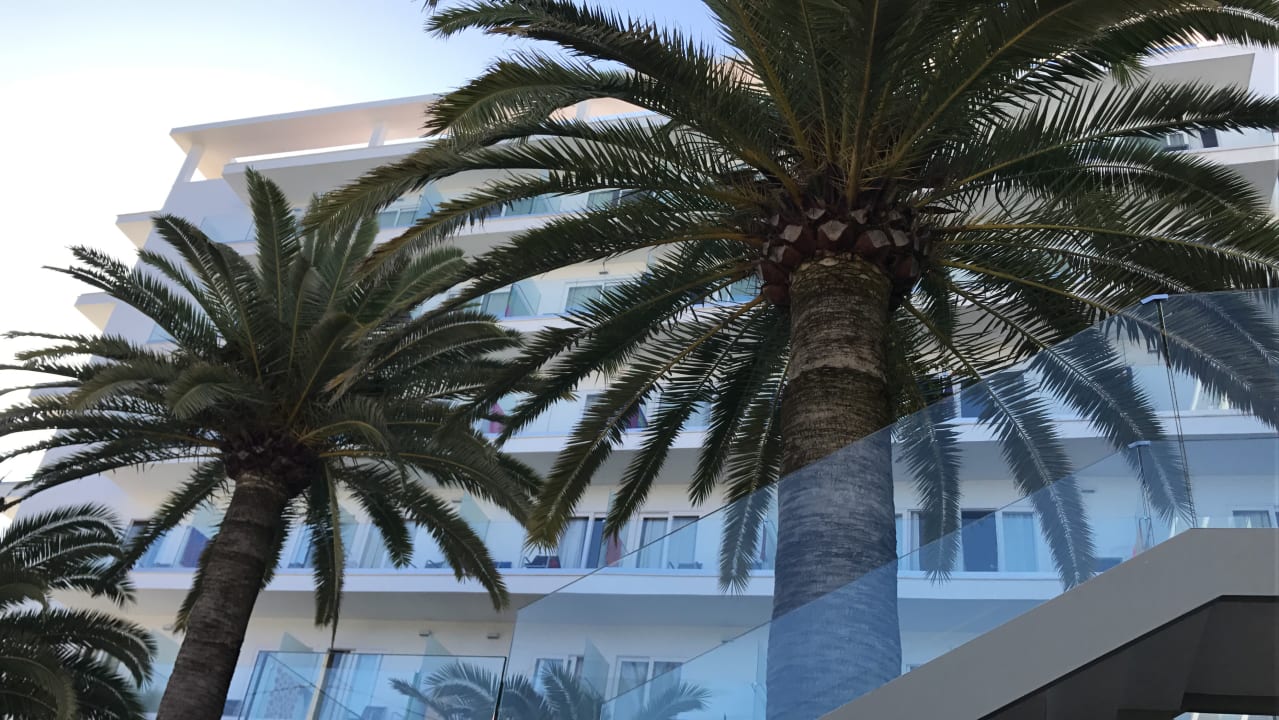 Außenansicht allsun Hotel Cristóbal Colón