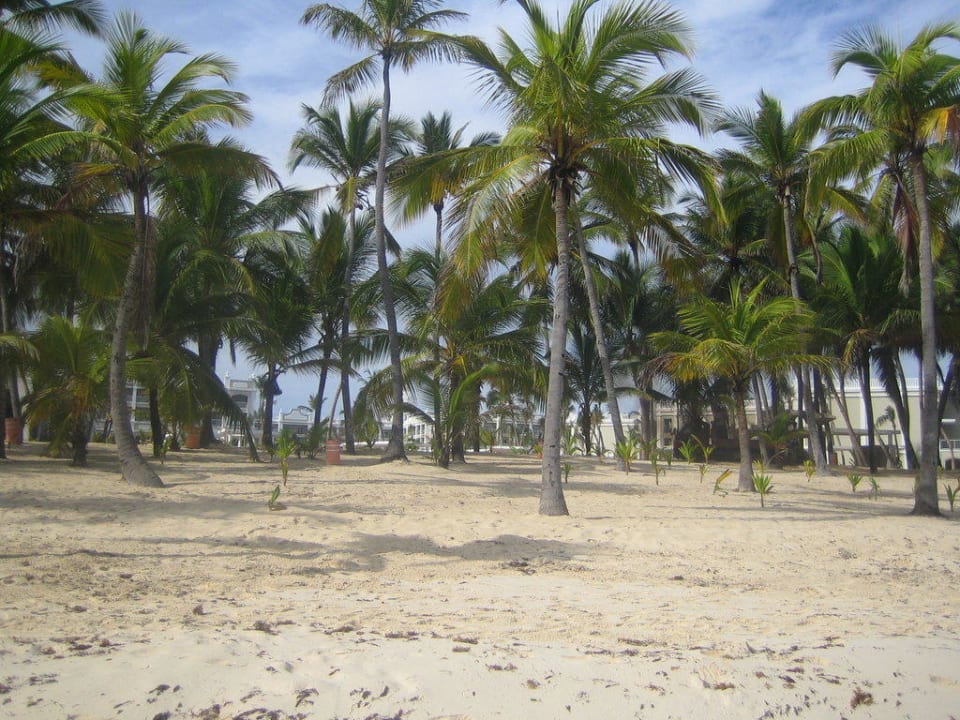 Vom Wasser aus gesehen Hotel Riu Palace Bavaro