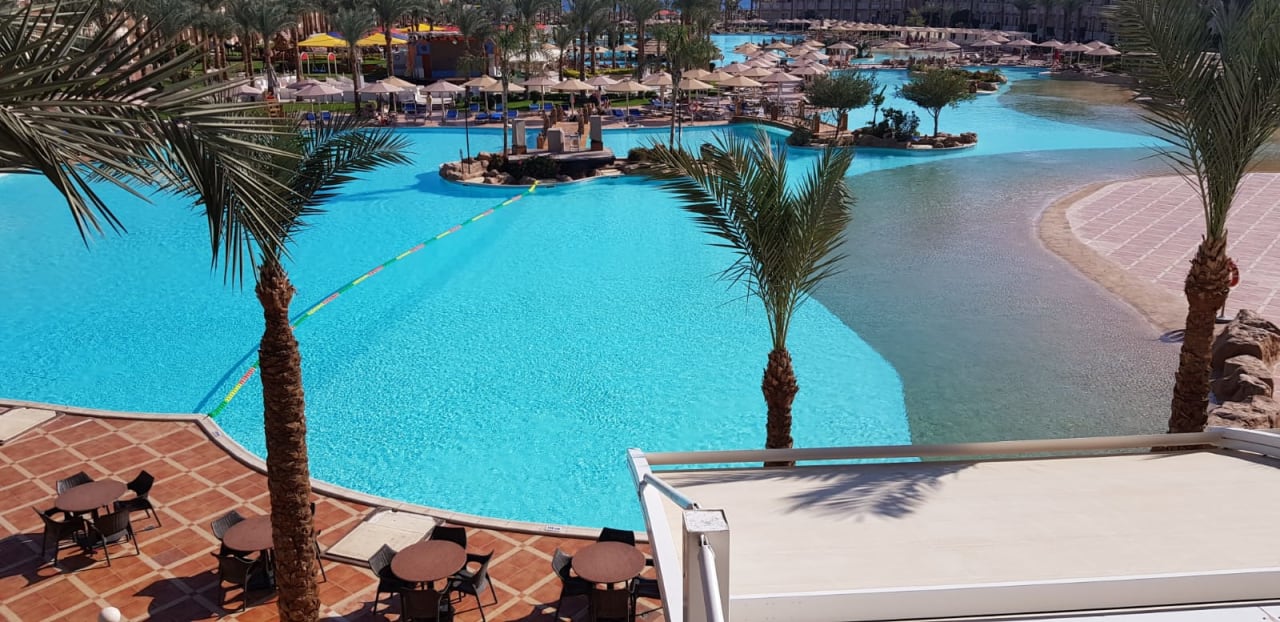 Pool Pickalbatros Palace Resort