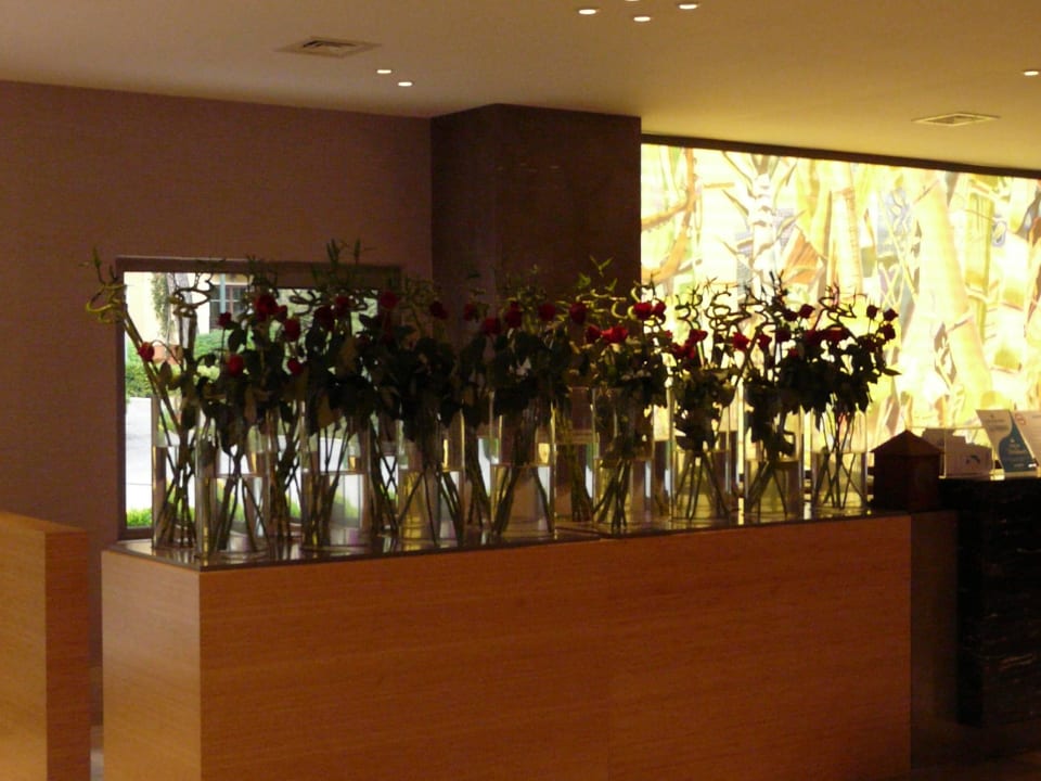 Rezeption Turquoise Hotel