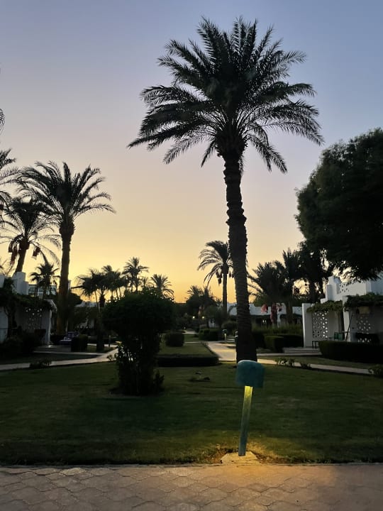 Gartenanlage Shams Safaga Resort