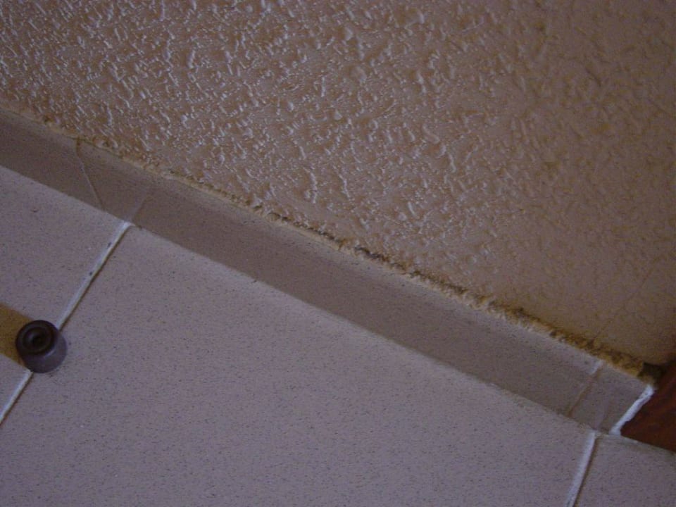 Im Eingangsbereich Green Garden Aparthotel