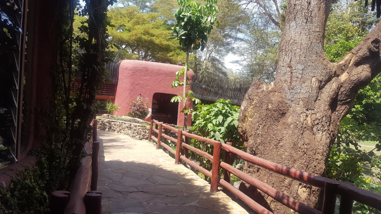 Sonstiges Amboseli Serena Safari Lodge