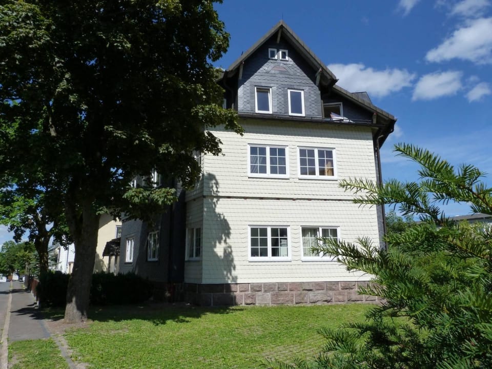 Hausansicht im Sommer Haus Repin