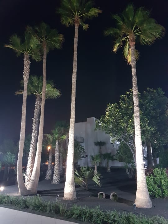 Gartenanlage Sentido Aequora Lanzarote Suite