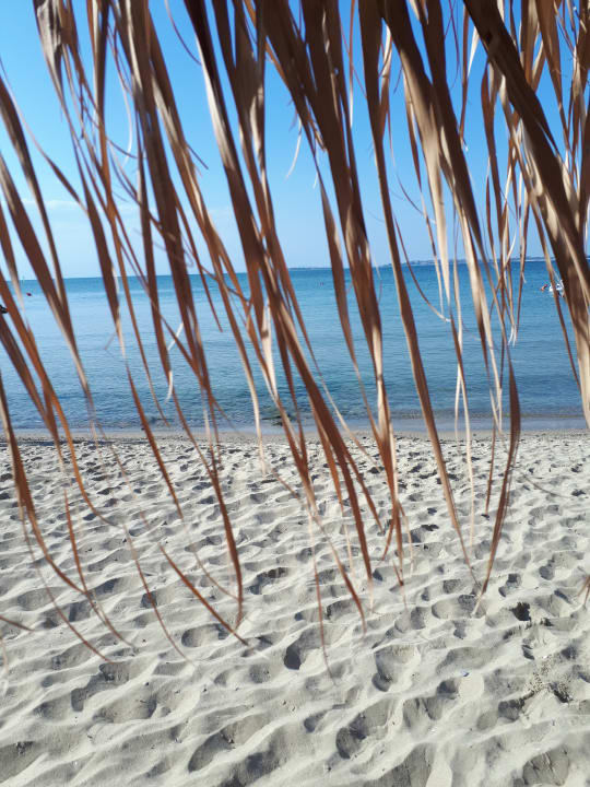 Strand Hotel Sineva Beach