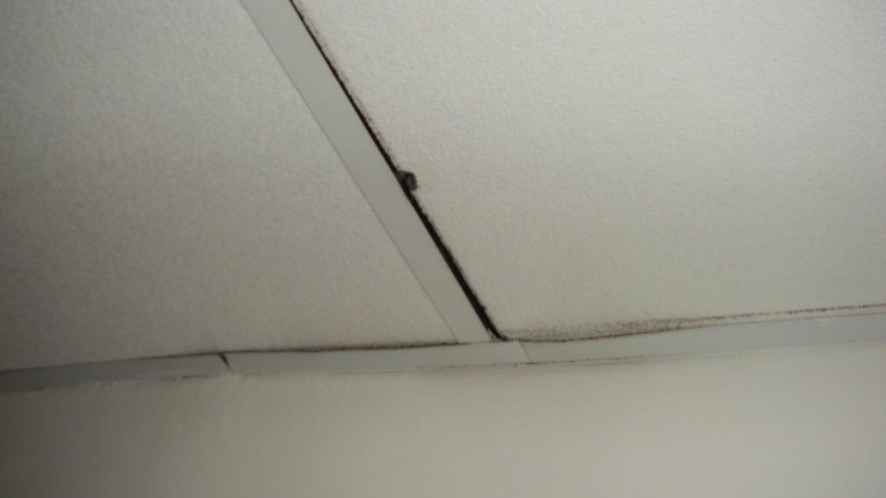 Flurdecke Hotel Alexander Palace