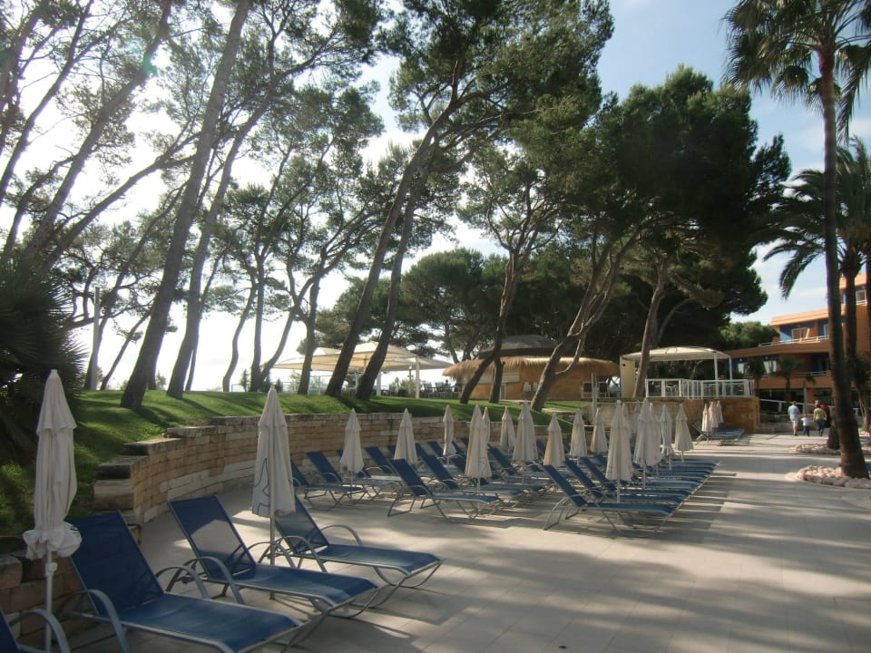 Am Pool Iberostar Waves Playa de Muro