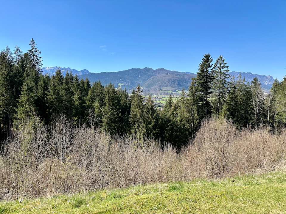 Ausblick Alm- & Wellnesshotel Alpenhof