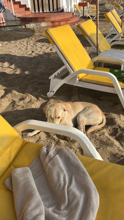 Strand Salamis Bay Conti Resort Hotel & Casino