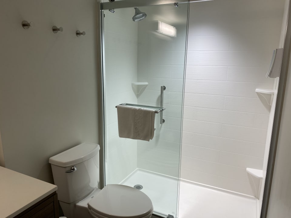 Zimmer Home2 Suites by Hilton Atlanta Midtown
