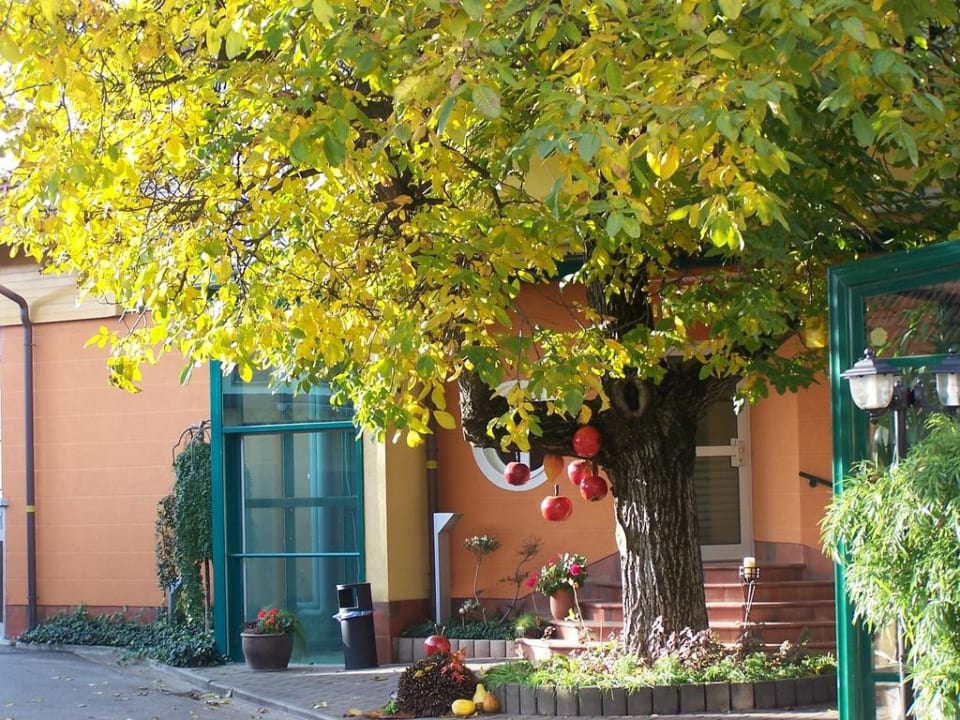 Zum Gasthaus und Motel Motel pri Lesniku