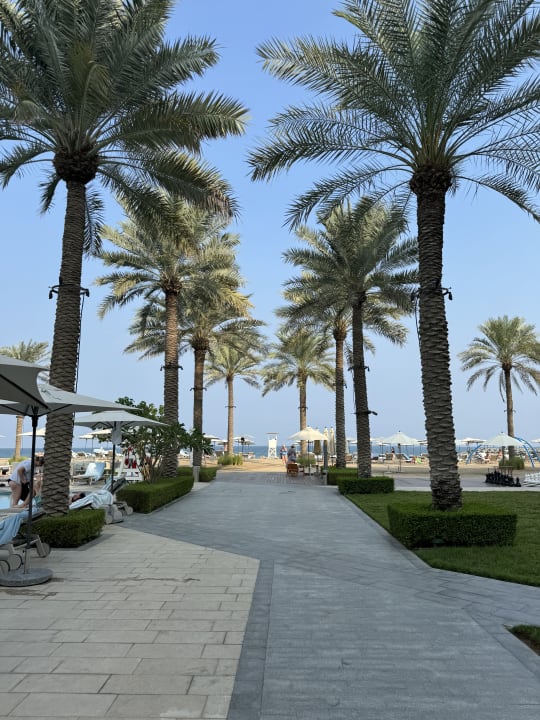 Gartenanlage Palace Beach Resort Fujairah