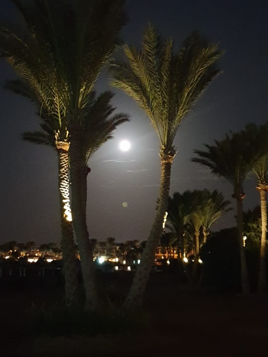 Ausblick Steigenberger Coraya Beach - Adults only