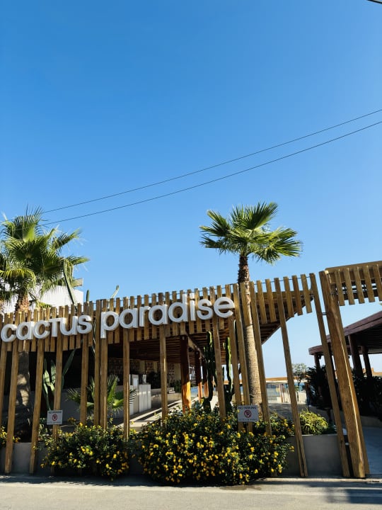 Gastro Cactus Beach