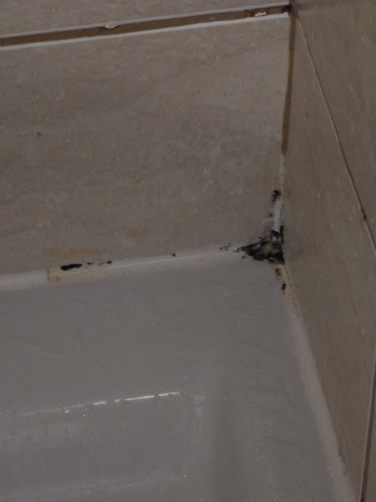 Zimmer Meliá Laguna Beach