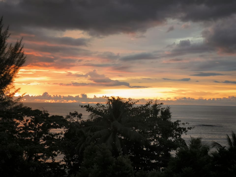 Sonstiges Moracea by Khao Lak Resort