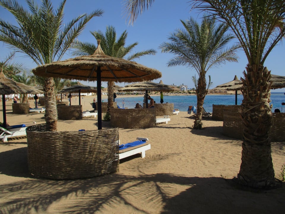 Strand Coral Sun Beach