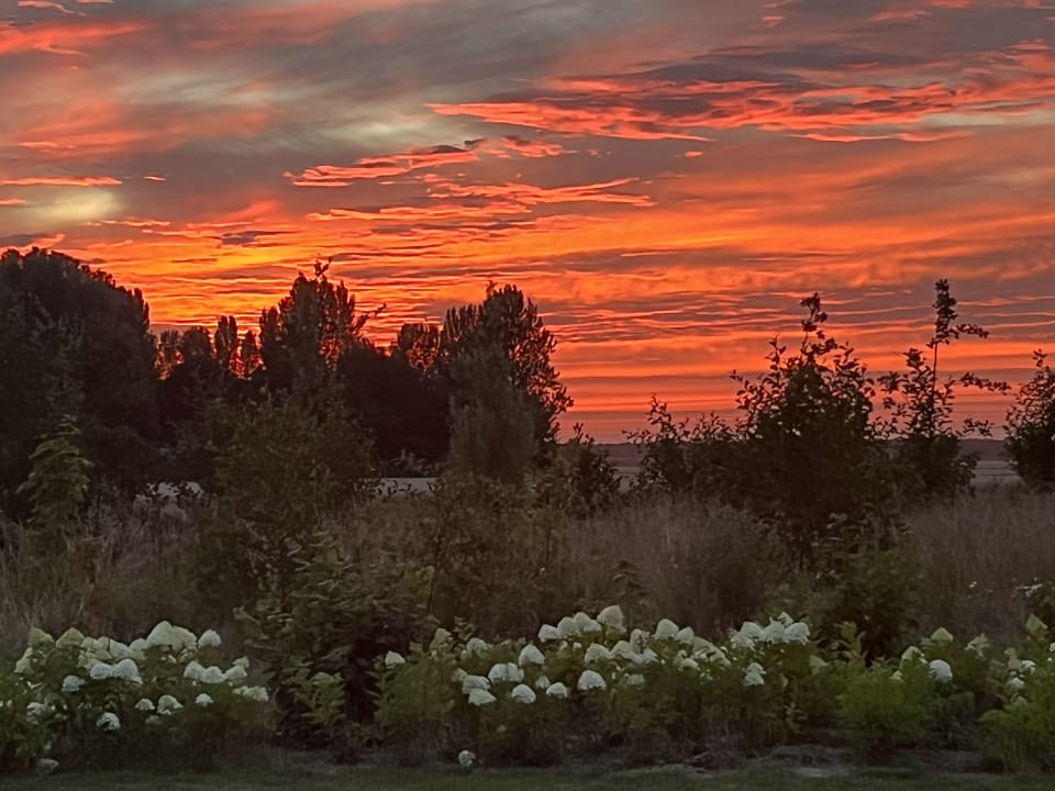 Ausblick Roompot Domein Het Camperveer