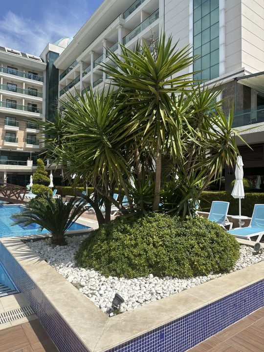 Pool Luna Blanca Resort & Spa
