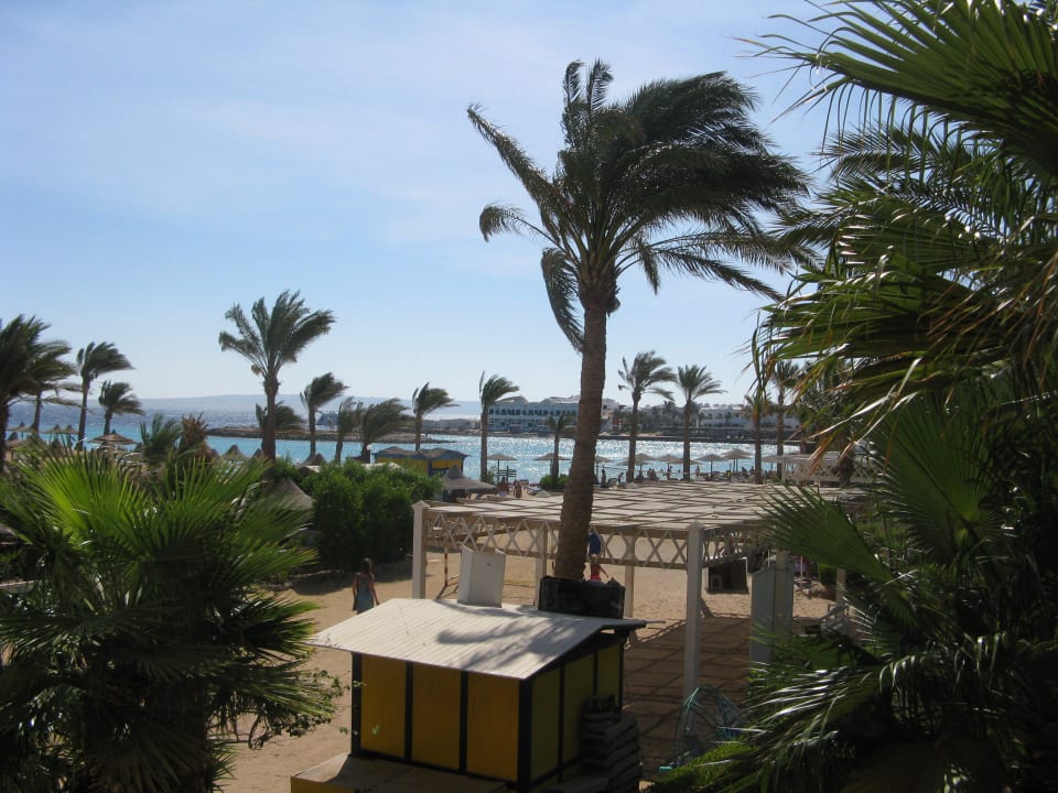 Plaża Arabia Azur Resort