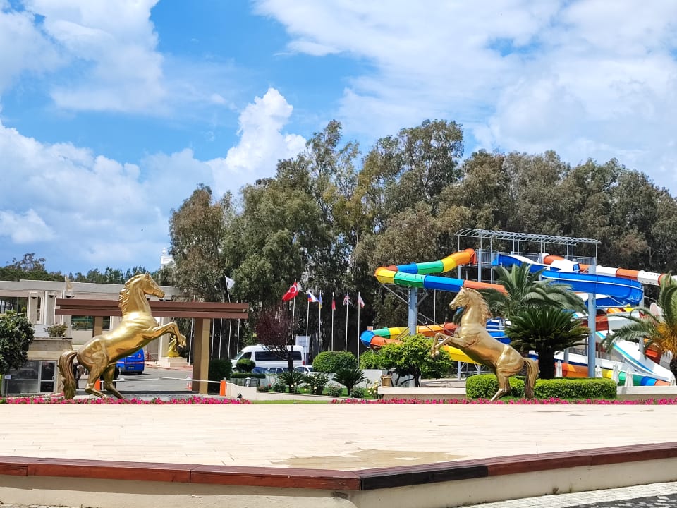 Sport & Freizeit Asteria Collection Side