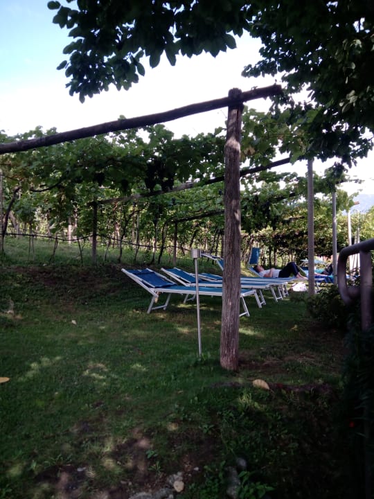 Sonstiges Palmengarten Hotel Gstör