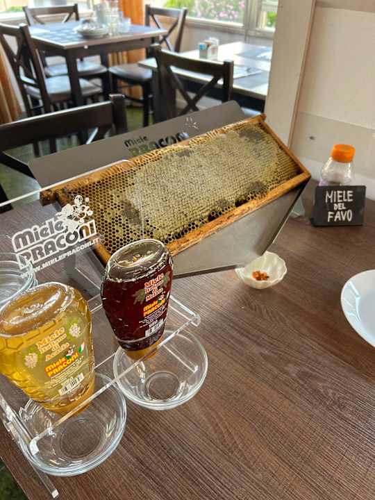 Gastro Hotel Concorde