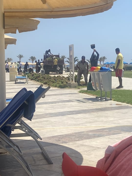Sonstiges Pickalbatros Sea World Resort - Marsa Alam