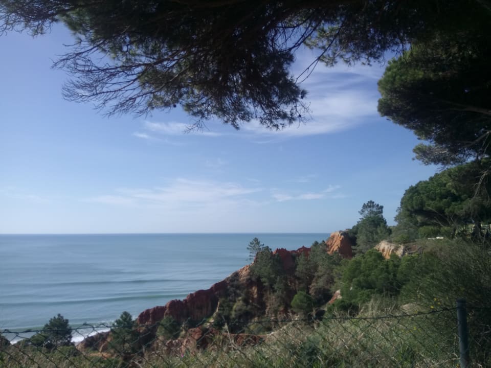 Gartenanlage PortoBay Falésia