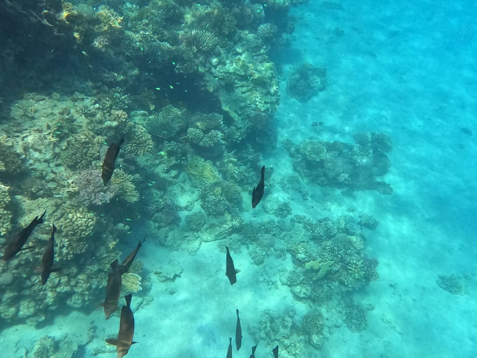 Strand Brayka Bay Resort