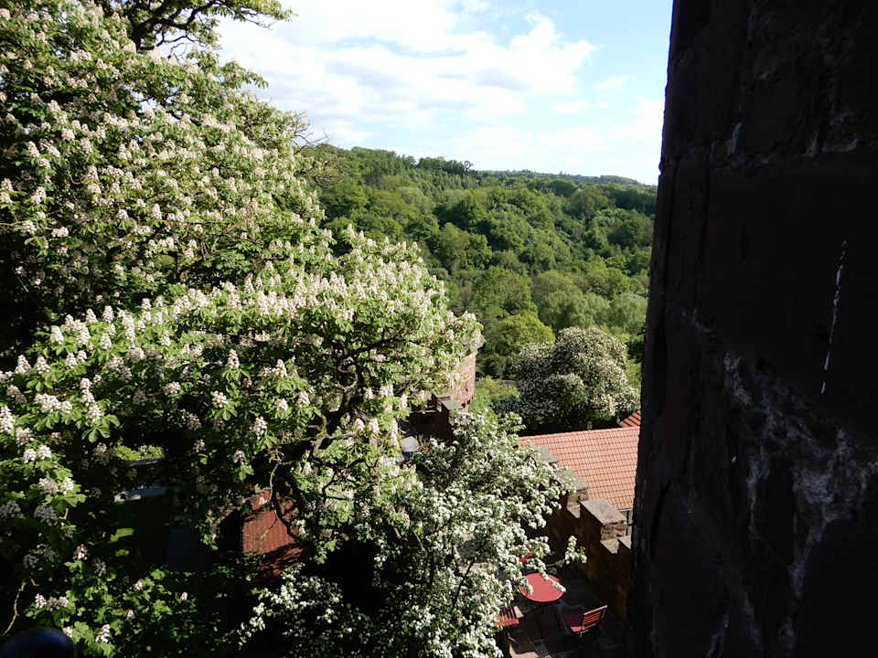 Außenansicht Burghotel Trendelburg