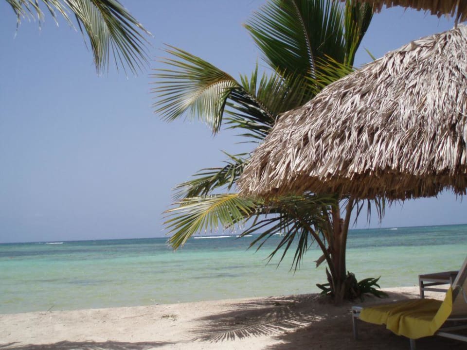Beach Catalonia Punta Cana - All Inclusive