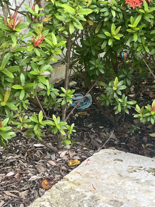 Zimmer Paradisus Grand Cana - All Suites