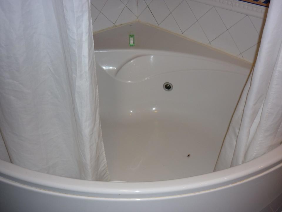 Kakerlake in Badewanne Memories Miramar Havana