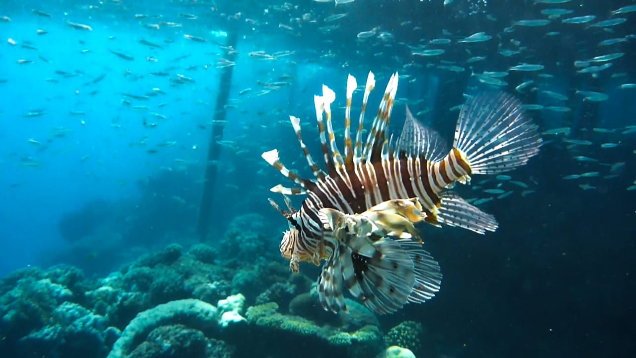 Strand Casa Mare Resort