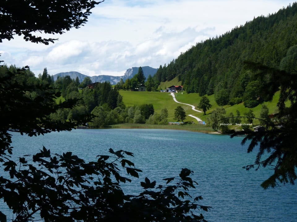 Blick vom See mit privatem Badestrand zur Pension Pension Maier Schiestlhof