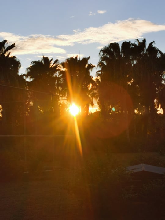 Gartenanlage Royal Atlantis Beach Hotel