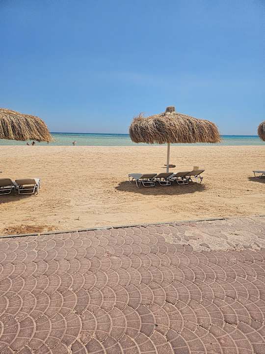 Strand JAZ Elite Asteria