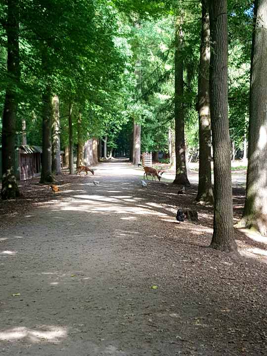 Sport & Freizeit Vila Vita Burghotel Dinklage