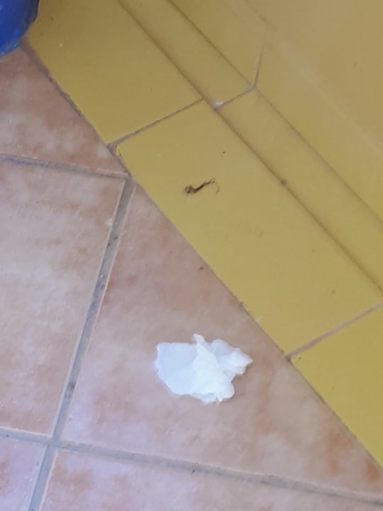 Sonstiges Club Hotel Drago Park