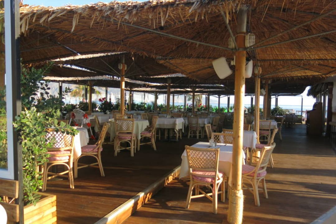 Gastro HARPIN Happy Days Beach Hotel