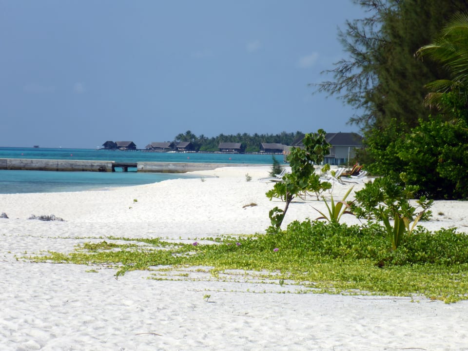 Strand Summer Island Maldives